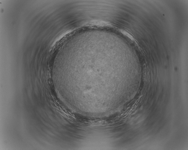 X0000067391112200604211626