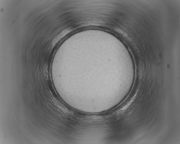 X0000067391113200604211626