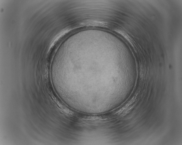 X0000067391115200604211626