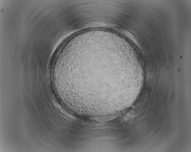 X0000067391116200604211626