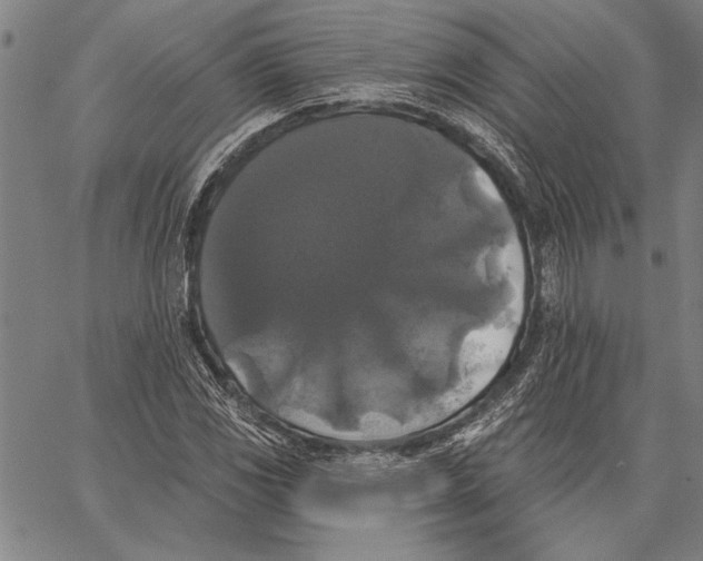 X0000067391117200604211626