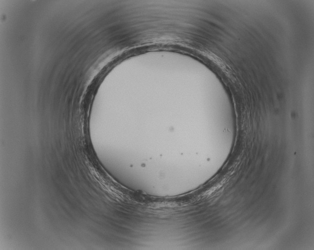 X0000067391118200604211626