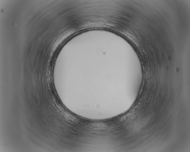 X0000067391119200604211626