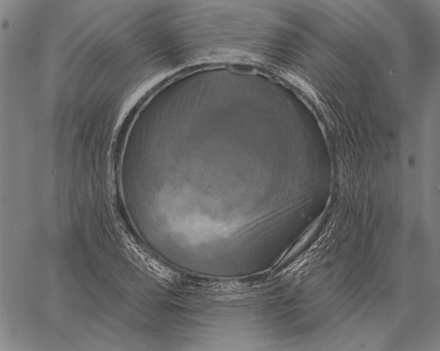 X0000067391120200604211626