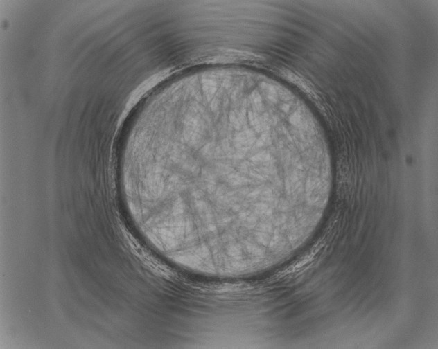 X0000067391122200604211626