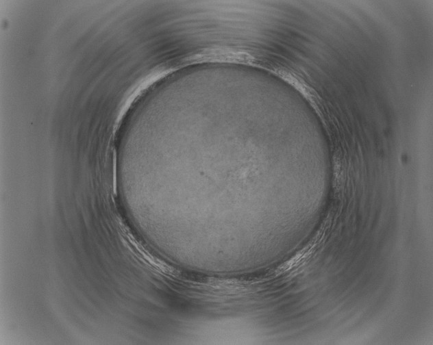 X0000067391123200604211626