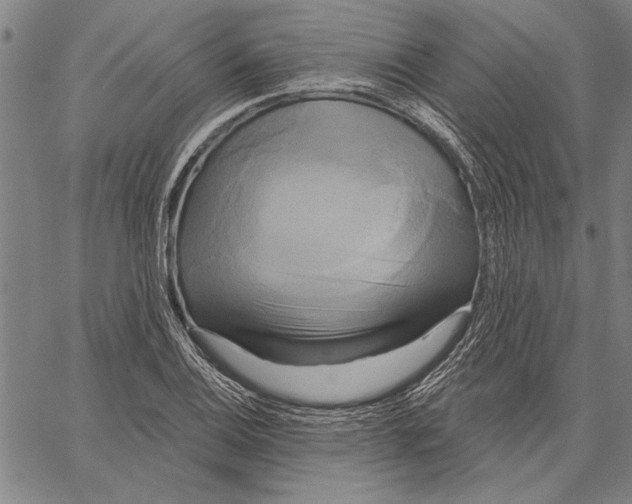 X0000067391124200604211626