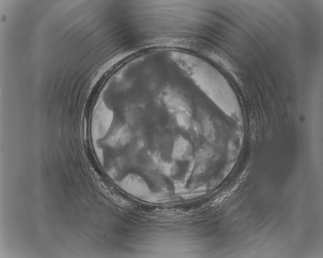 X0000067391125200604211626