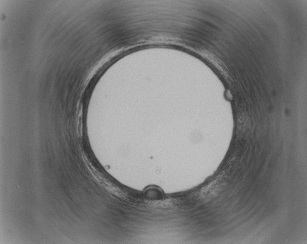 X0000067391126200604211626