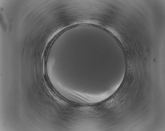 X0000067391127200604211627