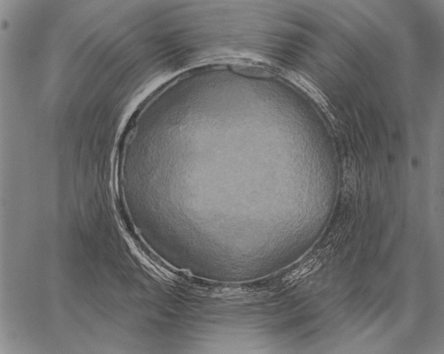 X0000067391128200604211627