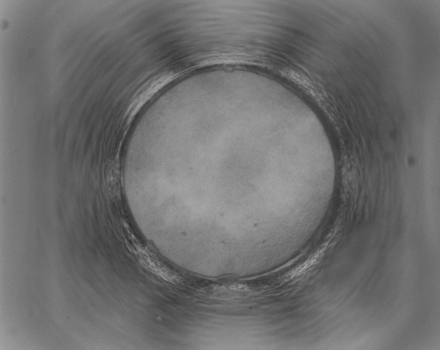 X0000067391129200604211627