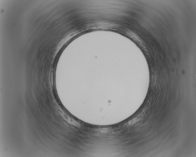 X0000067391130200604211627