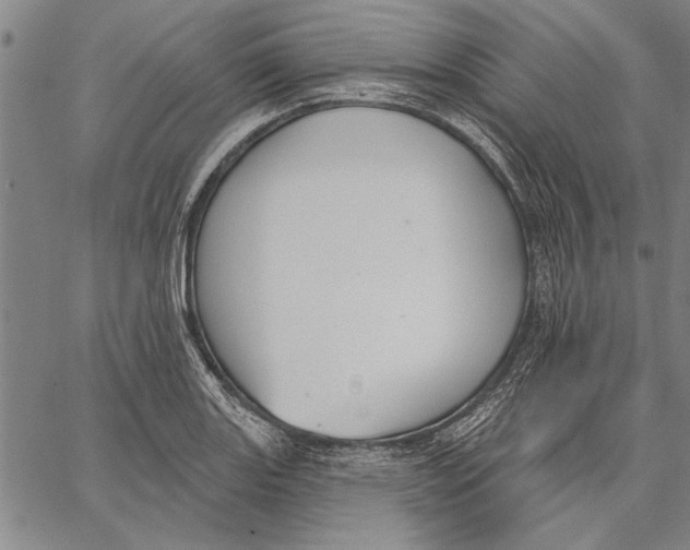 X0000067391131200604211627