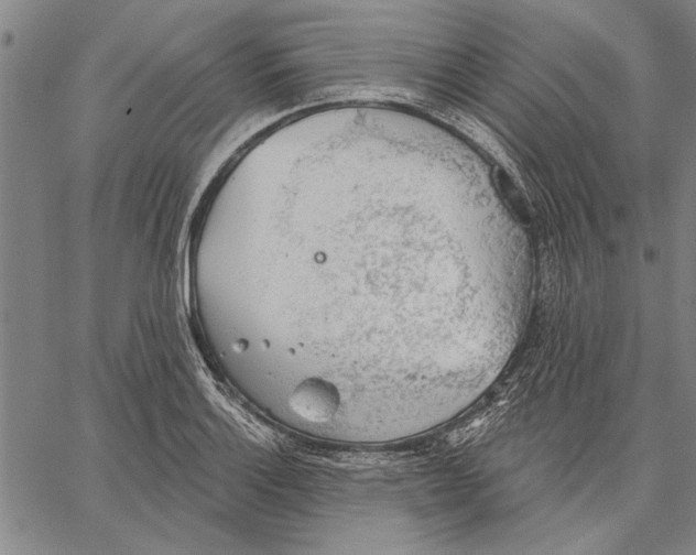 X0000067391132200604211627