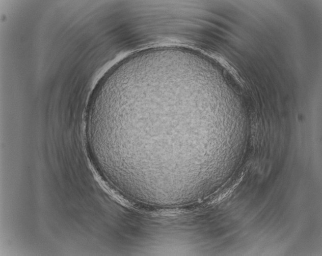 X0000067391134200604211627