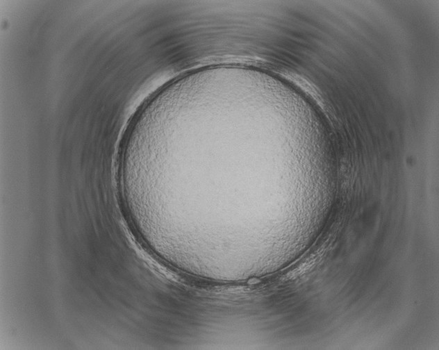 X0000067391135200604211627