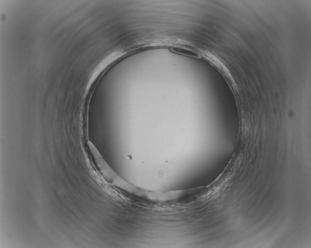 X0000067391138200604211627