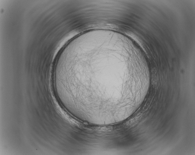 X0000067391139200604211627