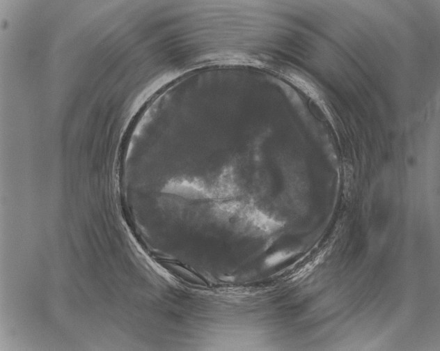 X0000067391141200604211627