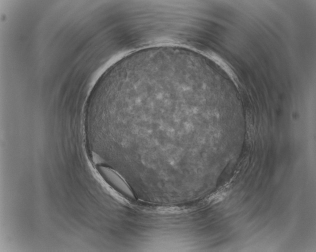 X0000067391142200604211627