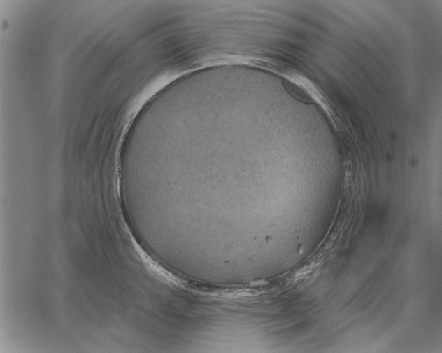 X0000067391143200604211627