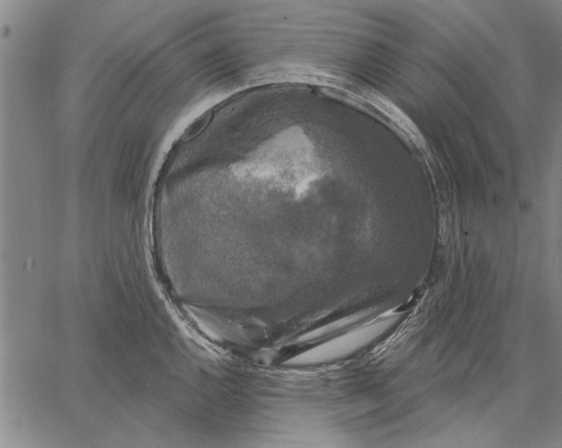 X0000067391144200604211627