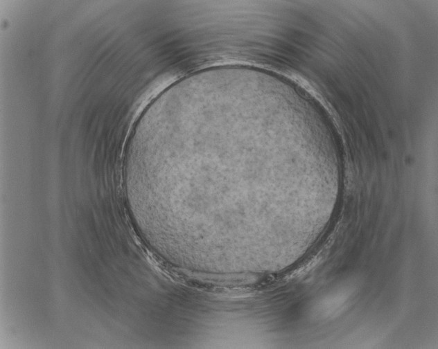 X0000067391145200604211627