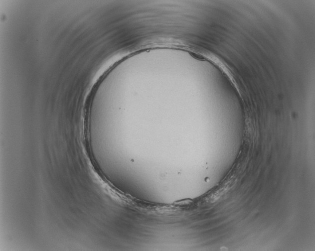 X0000067391147200604211627