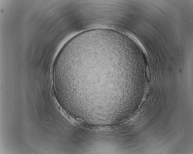 X0000067391148200604211627