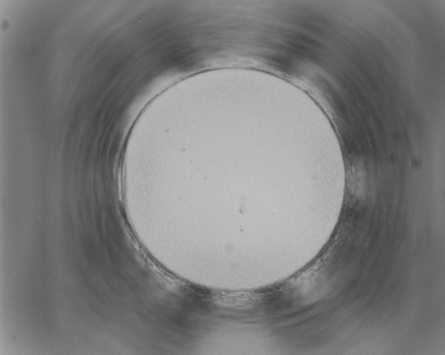 X0000067391150200604211627