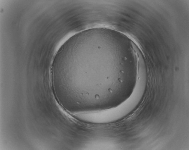 X0000067391151200604211627