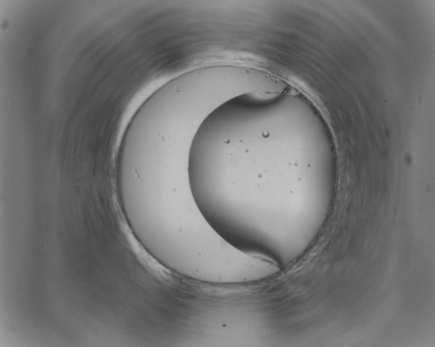 X0000067391152200604211627