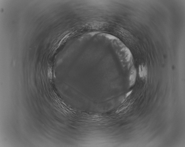 X0000067391155200604211626