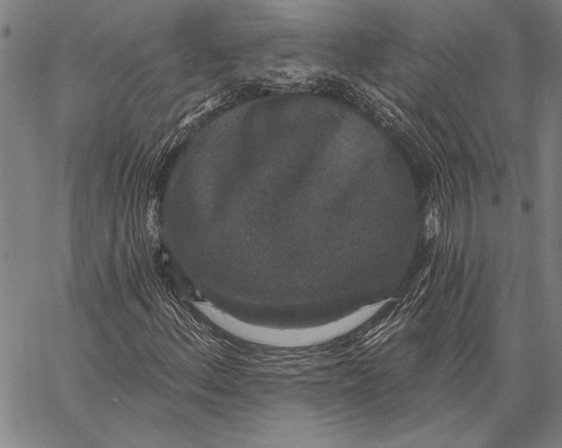 X0000067391156200604211626