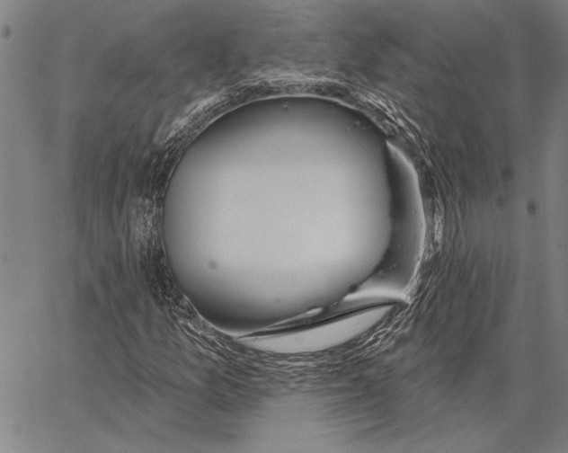 X0000067391157200604211626