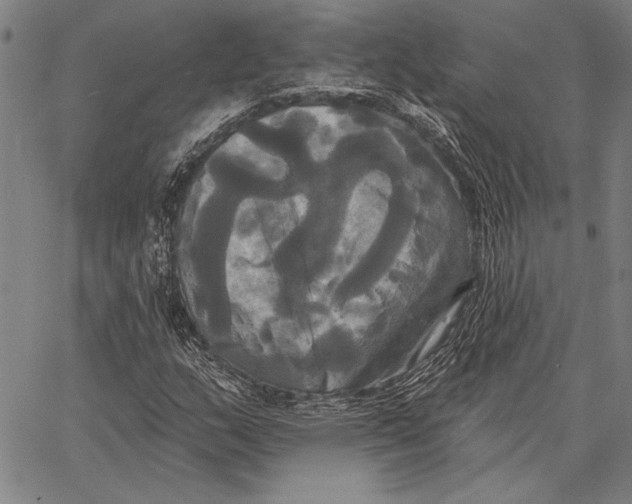 X0000067391159200604211626