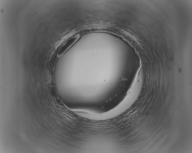 X0000067391160200604211626