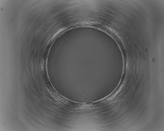 X0000067391161200604211626