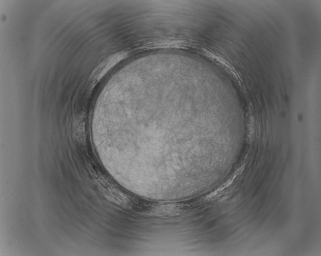 X0000067391162200604211626