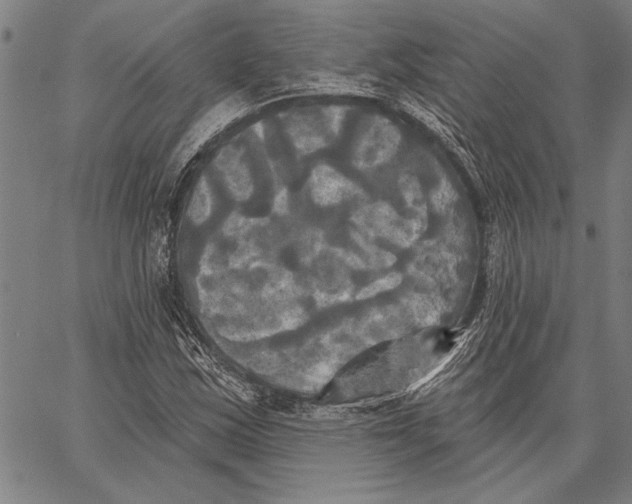 X0000067391163200604211626