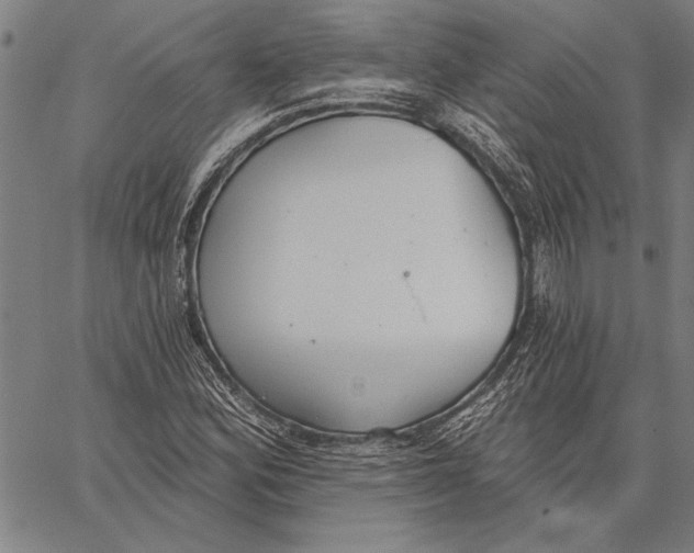 X0000067391164200604211626