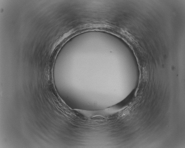 X0000067391165200604211626