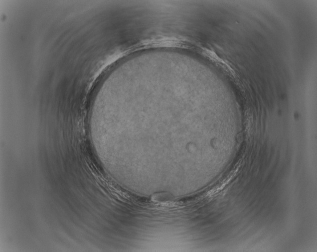 X0000067391166200604211626