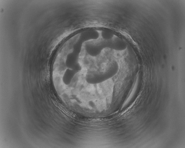 X0000067391167200604211626