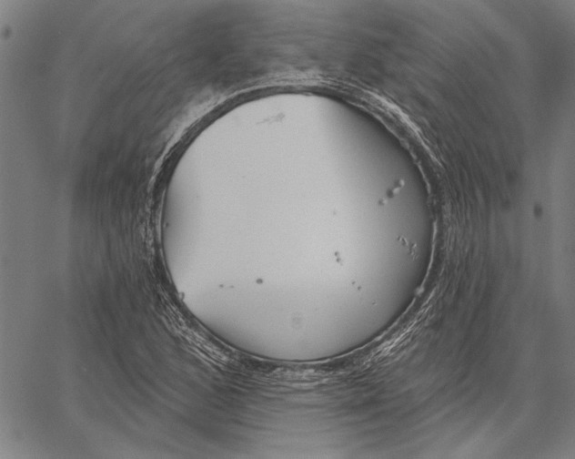 X0000067391168200604211626