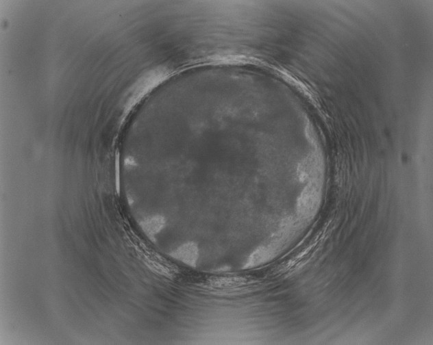 X0000067391171200604211626