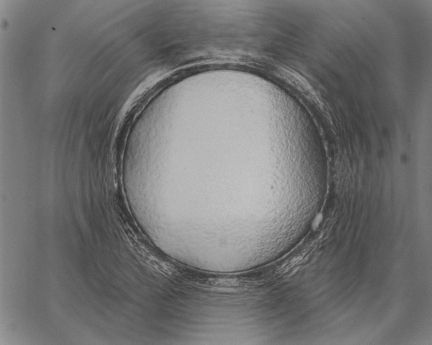 X0000067391172200604211626