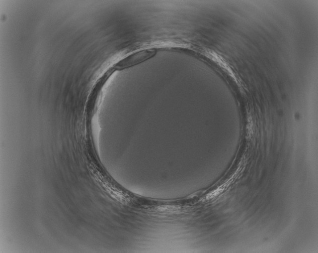 X0000067391173200604211626