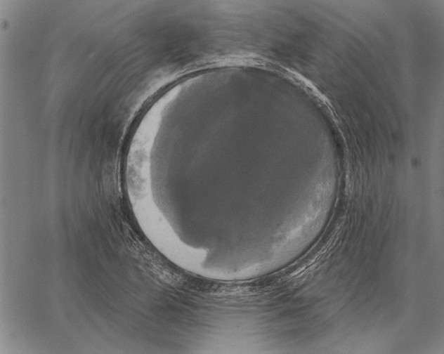 X0000067391174200604211626